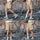 Breathable lightweight trail shorts - khaki tan quick-dry shorts with cream tee, for warm-weather trekking